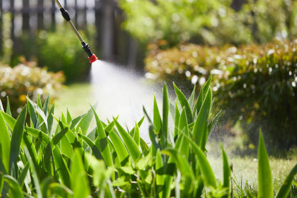 24/7 Emergency Mosquito Control experts in Garden City South, NY