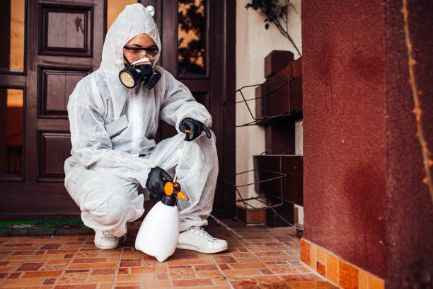 Reliable Mosquito Control contractor in Garden City South, NY by Show Me Pest Control